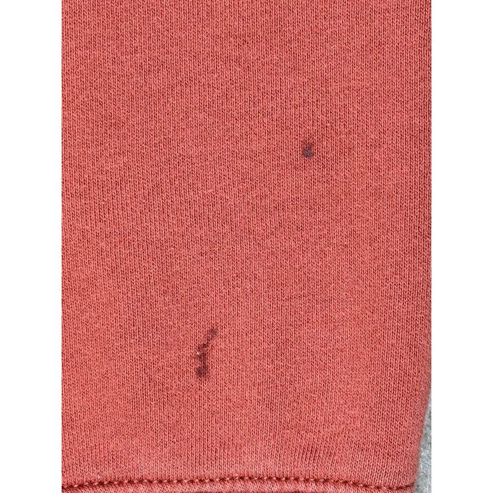 Vans Desert Pack Cactus Graphic Pullover Hoodie XL Terracotta - Picture 7 of 9
